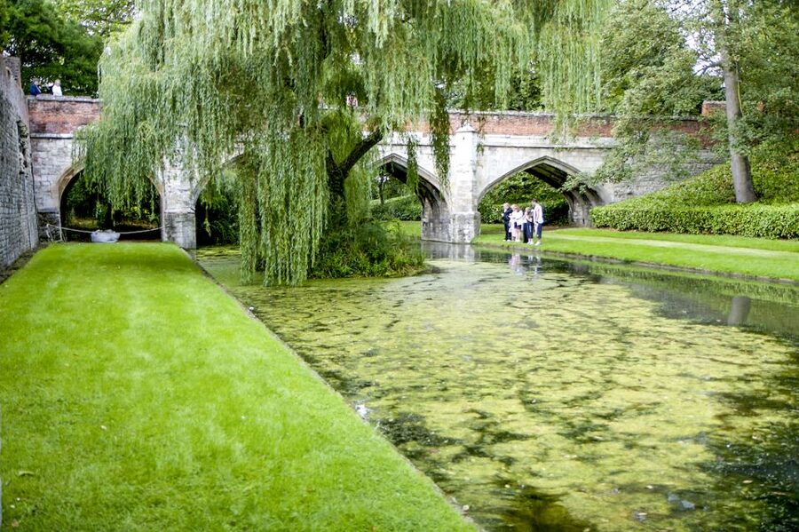 London: Entry Ticket to Eltham Palace and Gardens - Key Highlights Worth Scheduling Around