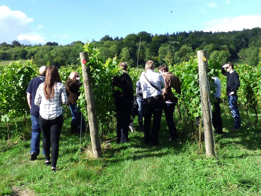 London: Full-Day English Wine Tour with Lunch - Who This Tour Fits Best (And Who Might Be Happier Elsewhere)