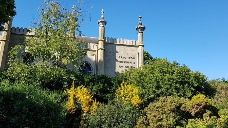 London: Guided Day Trip to Brighton and Seven Sisters - Key highlights you’ll care about