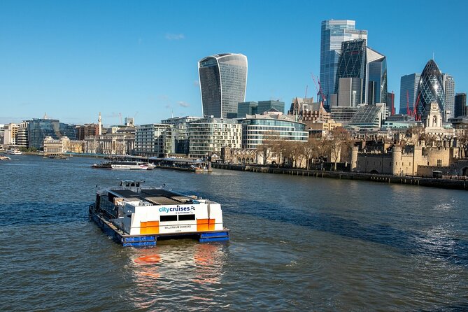 London: Harry Potter Walk, Hop-on Hop-off Bus Tour and Cruise - River Thames cruise: the view break your legs will thank you for