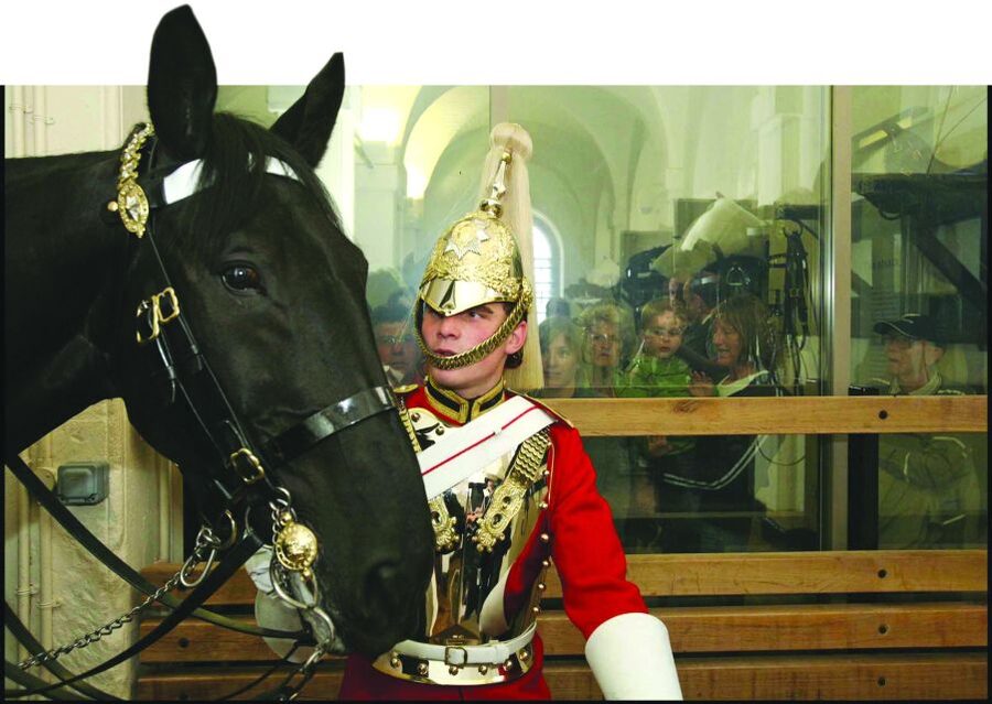 London: Household Cavalry Museum Entry Ticket - How long to plan: pacing a 60-minute ticket visit without missing the best parts