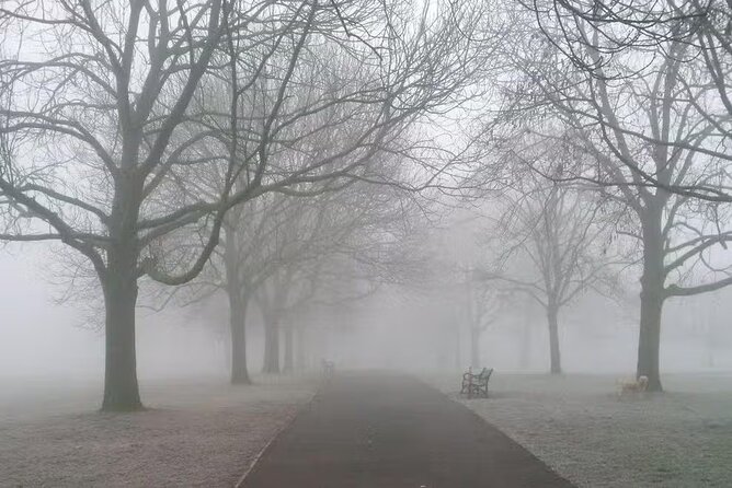 London: Jack the Ripper Small Group Walking Tour - A 2-hour route that stays focused on the case