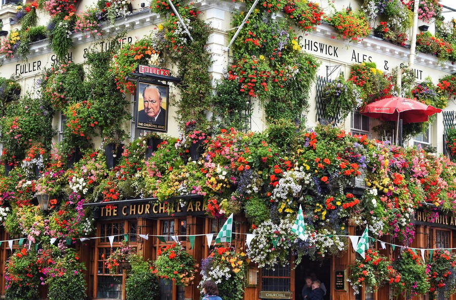 London: Kensington and Chelsea Guided Walking Tour - Kensington Gardens, Albert Memorial, and Royal Albert Hall: The Photo Stops That Pay Off