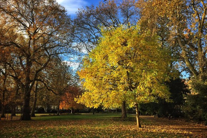 London Literary Private Walking Tour Of Bloomsbury - Stop 1: Bloomsbury—squares, gardens, and how the area got its reputation