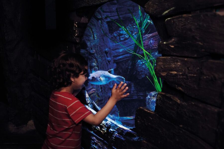 London: Madame Tussauds, London Eye & SEA LIFE Combo Ticket - Key highlights worth planning for