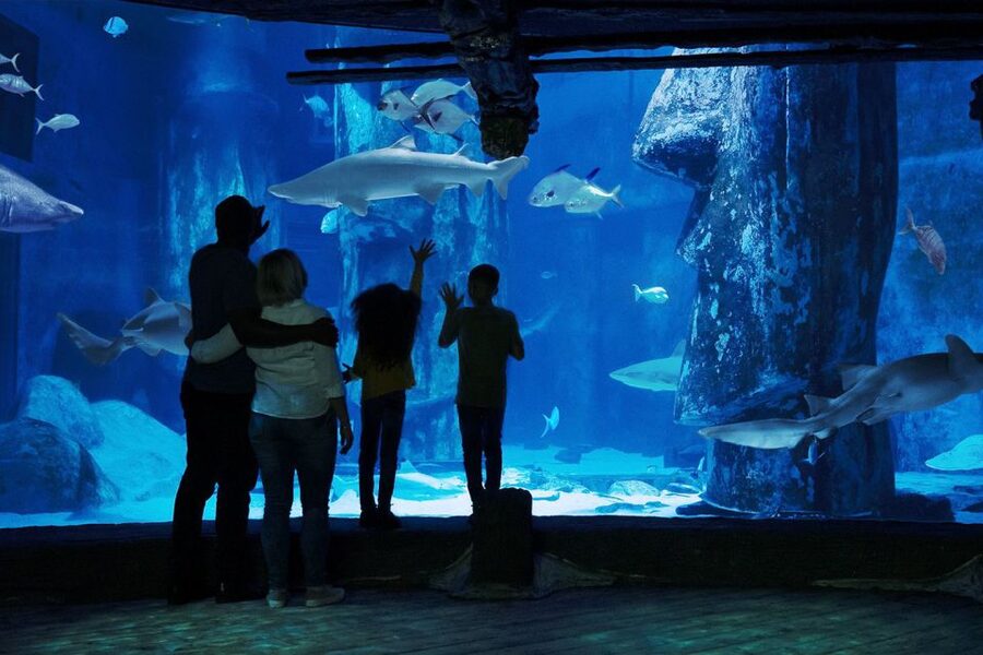 London: Madame Tussauds, London Eye & SEA LIFE Combo Ticket - Should you book this Madame Tussauds, London Eye & SEA LIFE combo?