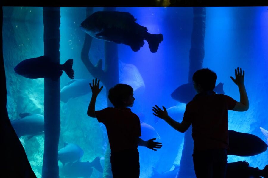 London: Madame Tussauds, SEA LIFE and London Dungeon Entry - Why This London Combo Ticket Works for Most First-Timers