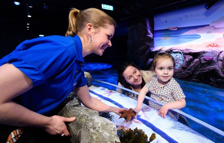 London: Madame Tussauds, SEA LIFE and London Dungeon Entry - Should You Book This Madame Tussauds + SEA LIFE + London Dungeon Pass?