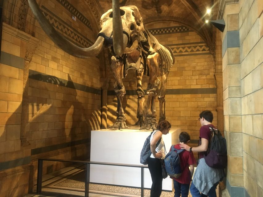 London: Natural History Museum Entry Ticket and Guided Tour - Key things to know before you go