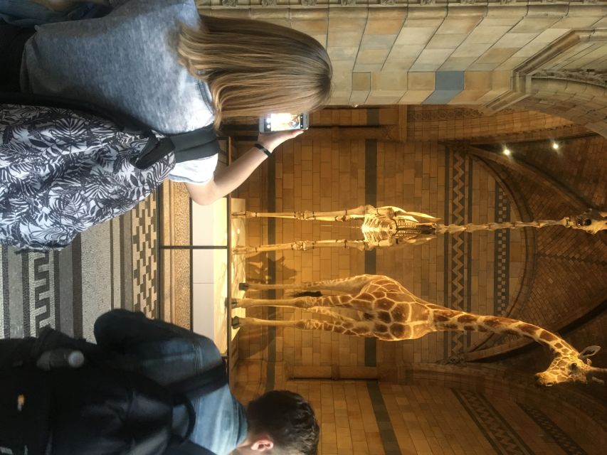 London: Natural History Museum Entry Ticket and Guided Tour - Central Hall and the Diplodocus skeleton: your fast intro