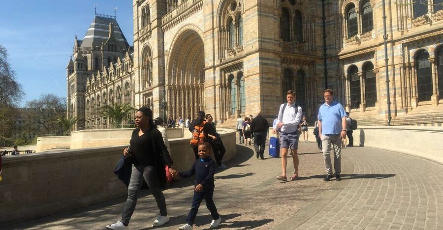 London: Natural History Museum Entry Ticket and Guided Tour - Wildlife Garden walk-through: London’s bird-and-bee break