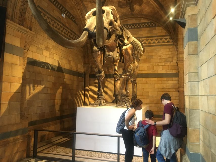 London: Natural History Museum Entry Ticket and Guided Tour - Finding the meeting point at South Kensington, step by step