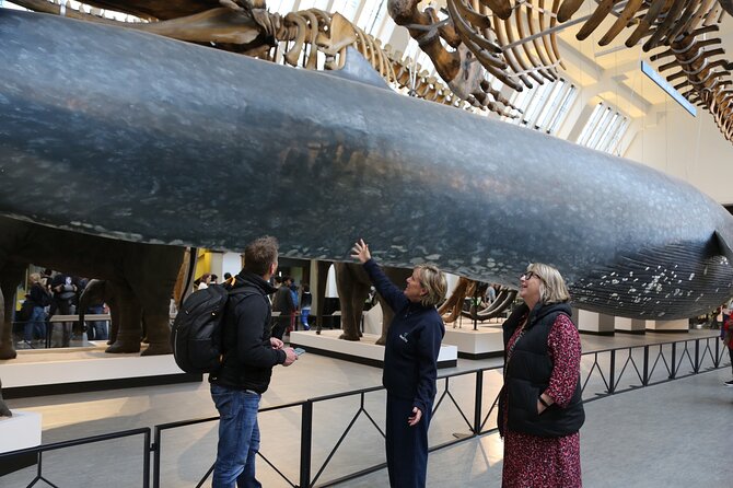 London: Natural History Museum Express Guided Tour & Audio Guide - What you’ll actually see: permanent-exhibit highlights that fit the format
