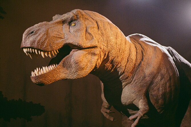 London: Natural History Museum Express Guided Tour & Audio Guide - Practical stuff that affects your day (cloakroom, rules, and what costs extra)