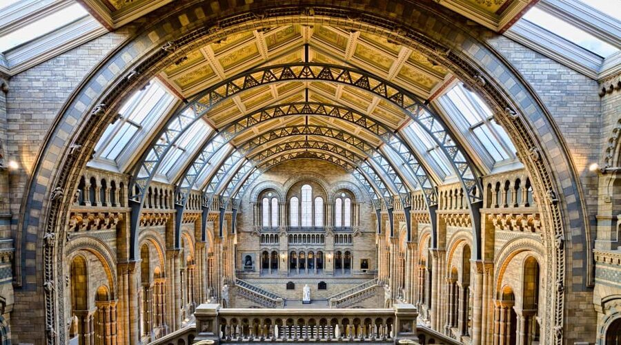 London: Natural History Museum Express Tour & Audio App - Practical tips that make or break the experience