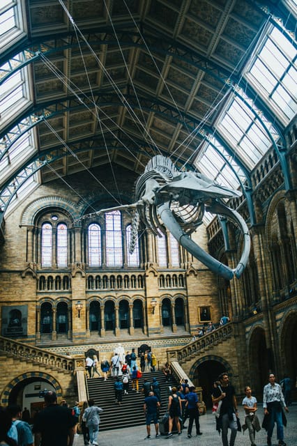 London: Natural History Museum Guided Tour - Key highlights I’d plan around