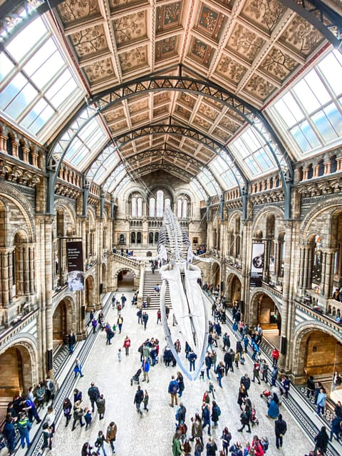 London: Natural History Museum Guided Tour - A Natural History Museum tour that actually feels doable in 2.5 hours