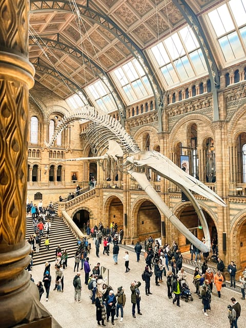 London: Natural History Museum Guided Tour - Sophie the Stegosaurus and the Dodo: the fossils that pull you in