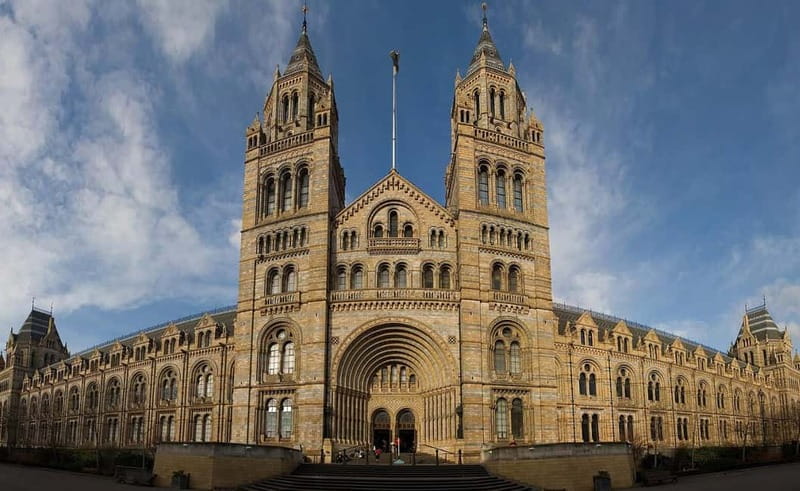 London: Natural History Museum Guided Tour w/ Priority Entry - Hintze Hall first: the blue whale moment that frames your whole visit