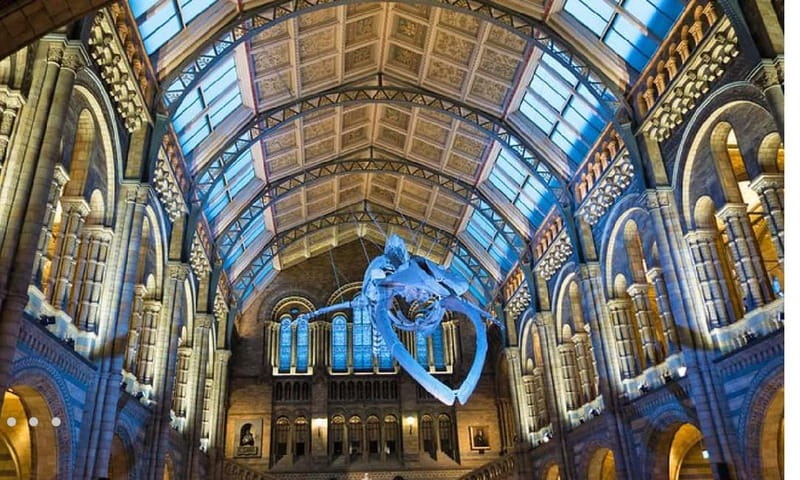 London: Natural History Museum Guided Tour w/ Priority Entry - How the dinosaur stops land: T. rex, fossils, and a guided storyline