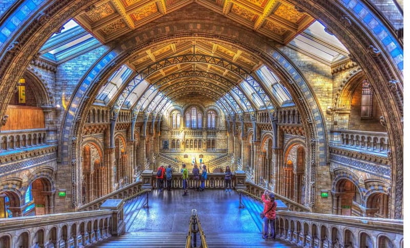 London: Natural History Museum Guided Tour w/ Priority Entry - The Darwin Centre: behind-the-scenes research energy