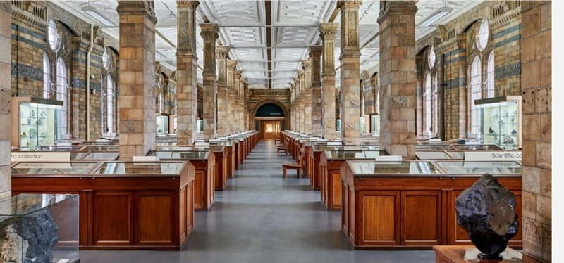 London: Natural History Museum Guided Tour w/ Priority Entry - Victorian building + crowd noise: planning your comfort inside