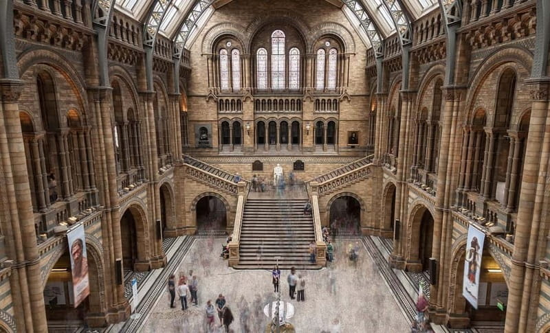 London: Natural History Museum Guided Tour w/ Priority Entry - Priority entry + a 90-minute rhythm: what that time box really means