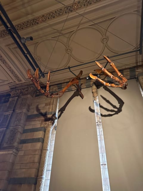 London: Natural History Museum Private Guided Tour - The Dinosaur Block: T-Rex, Triceratops, and Extinction Stories