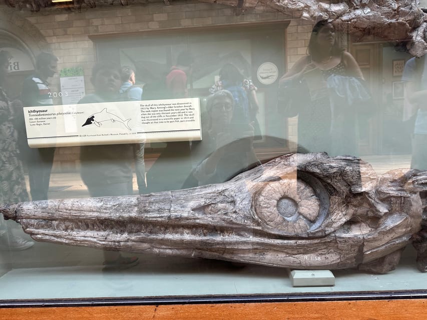 London: Natural History Museum Private Guided Tour - Life’s Diversity Tour Stops: From Giraffes to Ocean Speed