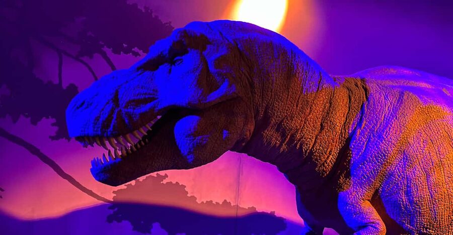 London: Natural History Museum Private Guided Tour - Wheelchair Access and Lifts: Plan It Smart