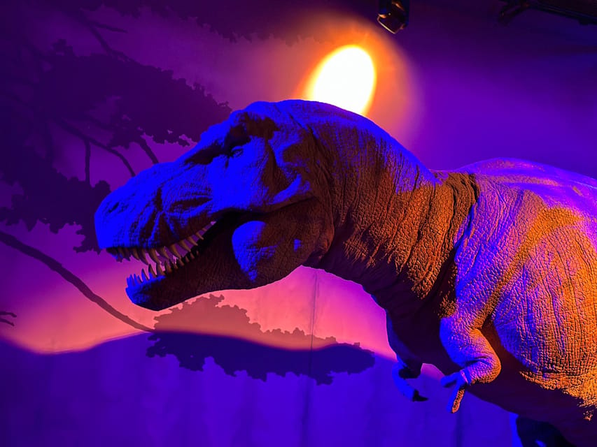 London: Natural History Museum Private Guided Tour - What a 2-Hour Private Tour Feels Like (In a Good Way)