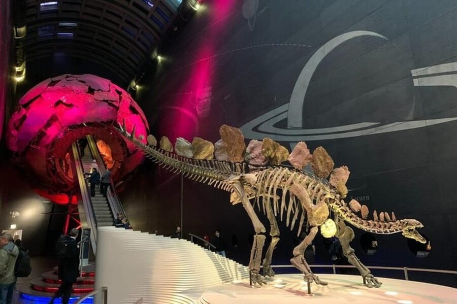 London: Natural History Museum Private Tour & Skip the line - Key Things That Make This Tour Worth Your Time