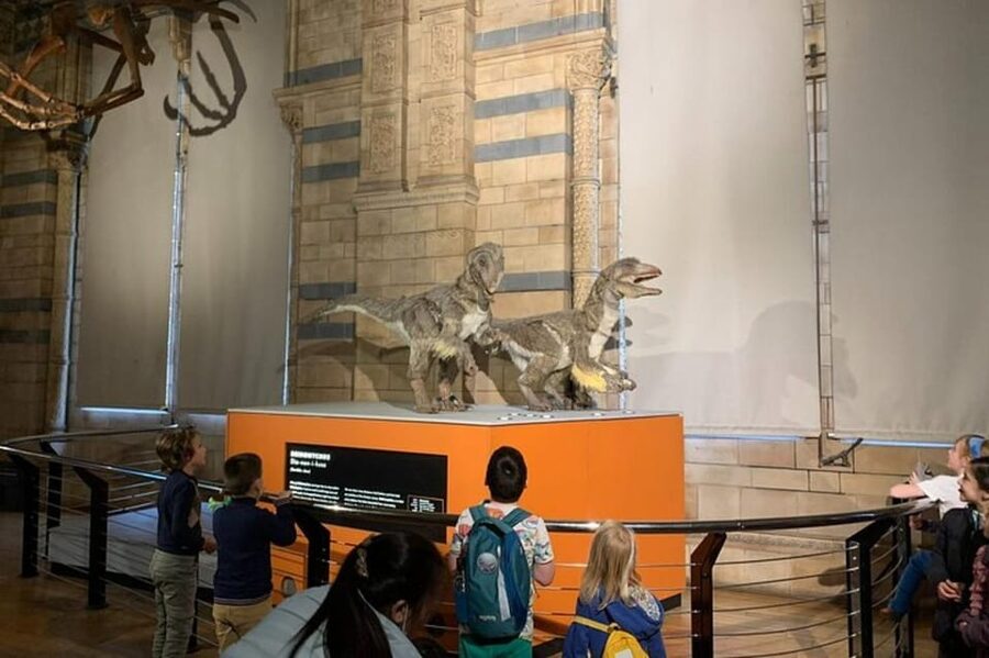 London: Natural History Museum Private Tour & Skip the line - The 2-Hour Timing: What You’ll Fit, What You’ll Skip, and How to Prep