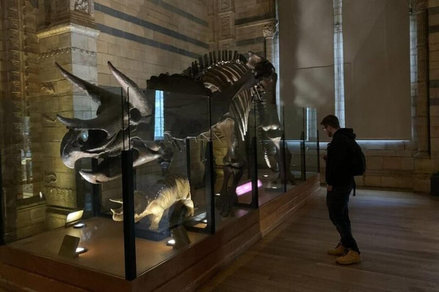 London: Natural History Museum Private Tour & Skip the line - A Private Guide Turns the Dinosaur Hall Into a Story
