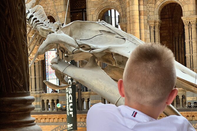 London Natural History Museum with Dinosaurs Gallery Private Tour for Kids - Price and value: what $325.46 per person is really buying