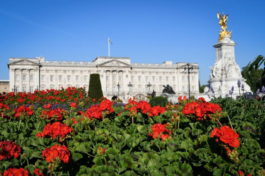 London: Palaces and Parliament Walking Tour - Price value: why $33 can feel fair for a Westminster highlights hit