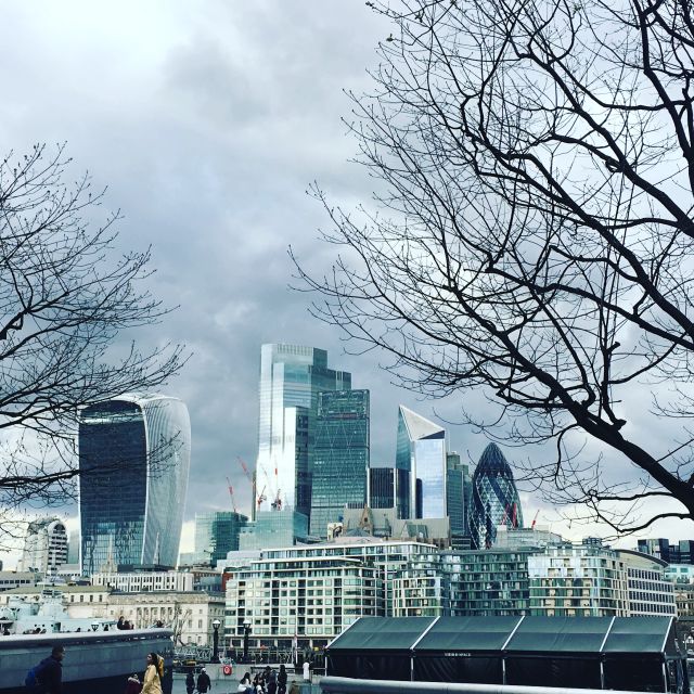 London: Private Intro Walk with a Local Guide - Buckingham Palace and Trafalgar Square: the royal-civic pairing