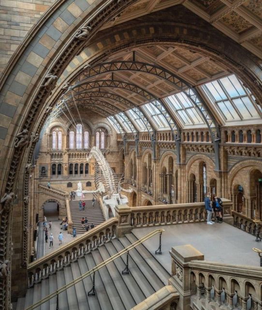 London: Royal Kensington Guided Walking Tour - Royal Albert Hall and the Albert Memorial: architecture plus big-stage energy