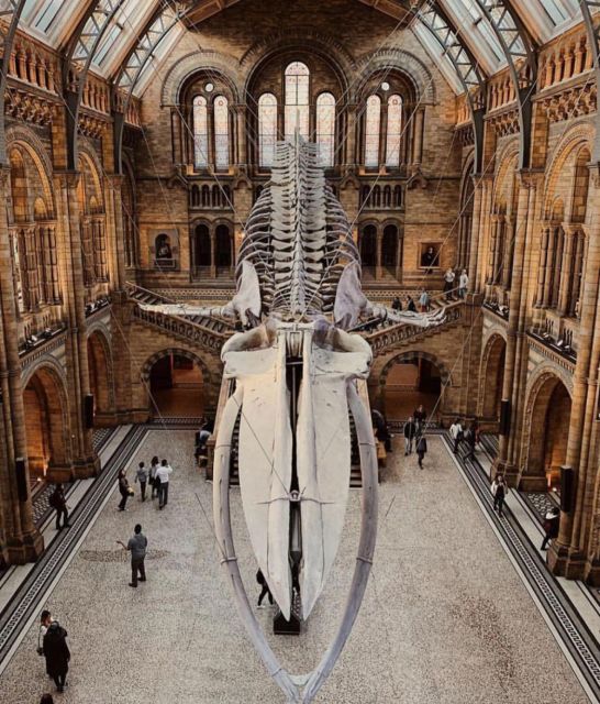London: Royal Kensington Guided Walking Tour - Price and value at $99: what you’re paying for (and what you’re not)