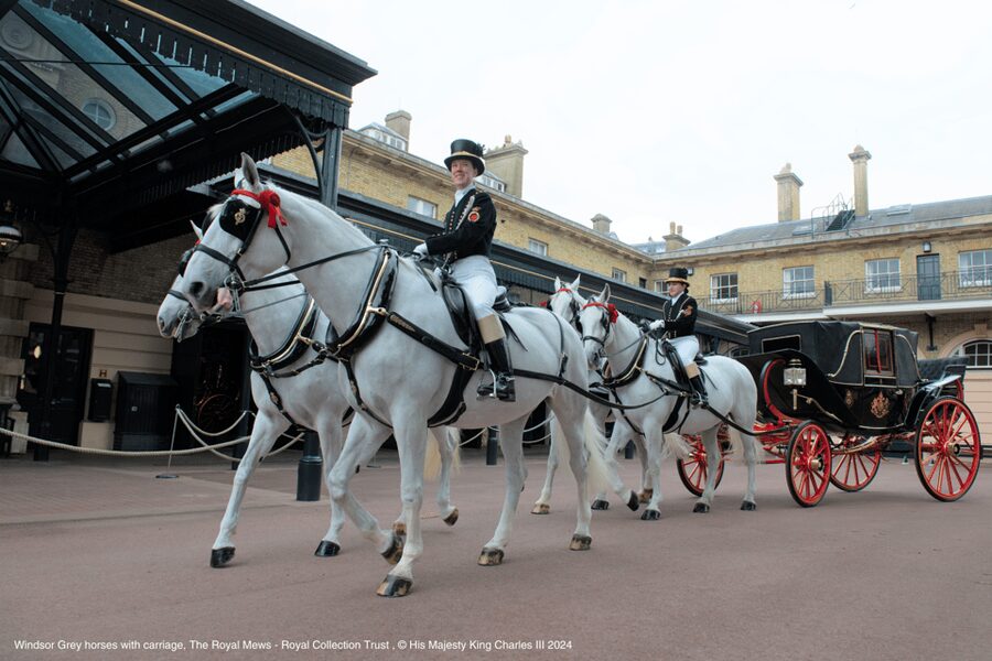 London: Royal Walking Tour with Guard Change & Royal Mews - The Changing of the Guard moment: choosing the ceremony option