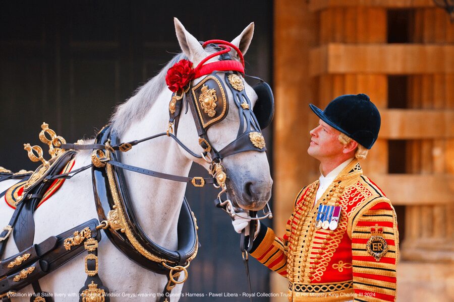 London: Royal Walking Tour with Guard Change & Royal Mews - Wellington Barracks and royal Foot Guards: the uniforms that anchor the area