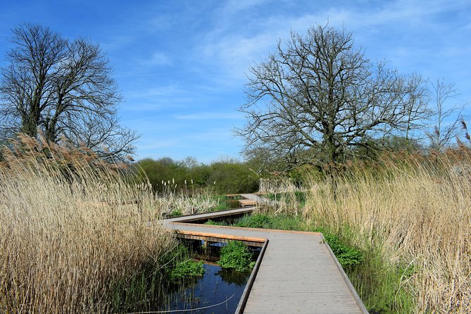 London's Best Kept Secret Bike Tour - Parks, Windings Paths, and What Makes South London Feel Different