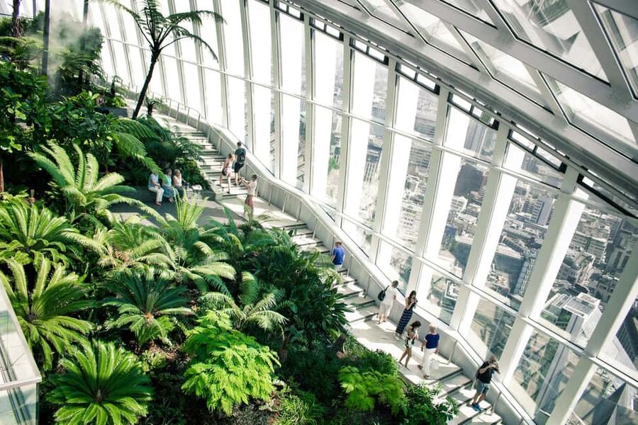 London: Sky Garden Early Access with Pastry and Hot Drink - Breakfast at Sky Pod Bar: One Pastry, One Hot Drink, Done Well