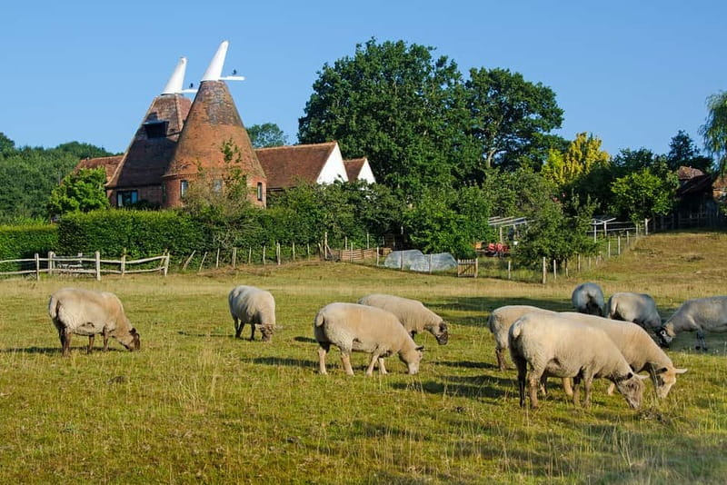 London: Small Group Canterbury, Dover & Kent Villages Tour - Who Should Book This Tour (and Who Might Not)