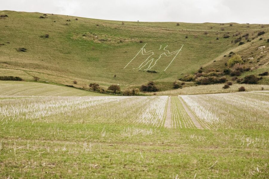 London: South Downs White Cliffs Day Trip with Train Tickets - Why South Downs and the Seven Sisters make sense as a day trip