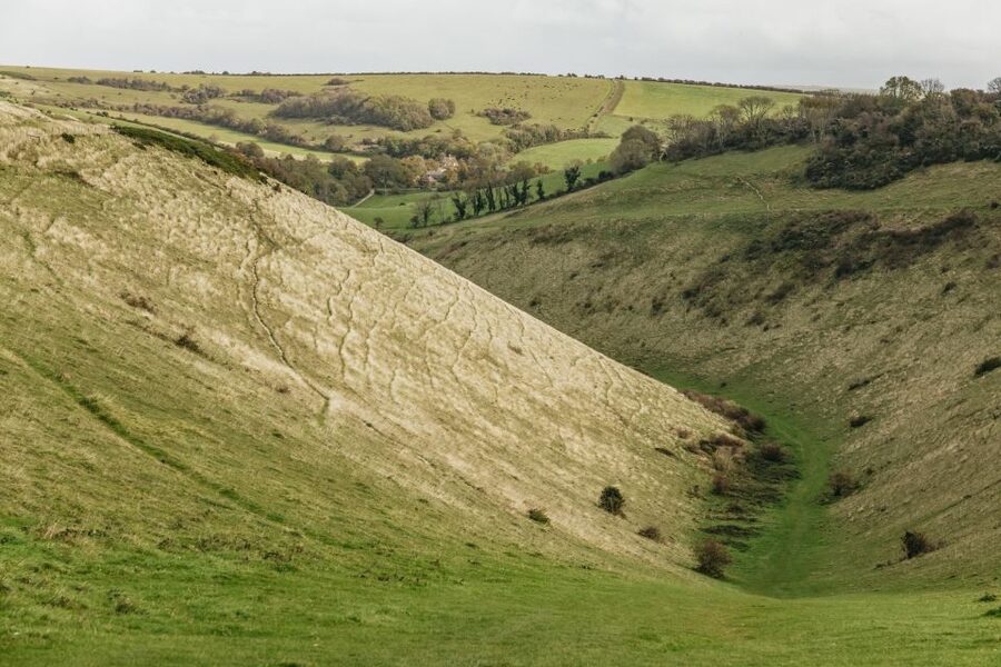 London: South Downs White Cliffs Day Trip with Train Tickets - Brighton without the time-sink: why the itinerary works