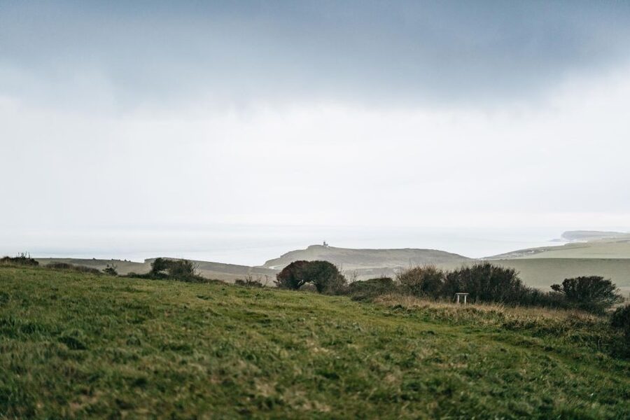 London: South Downs White Cliffs Day Trip with Train Tickets - Middle Farm lunch break: a calm pause with Sussex flavors