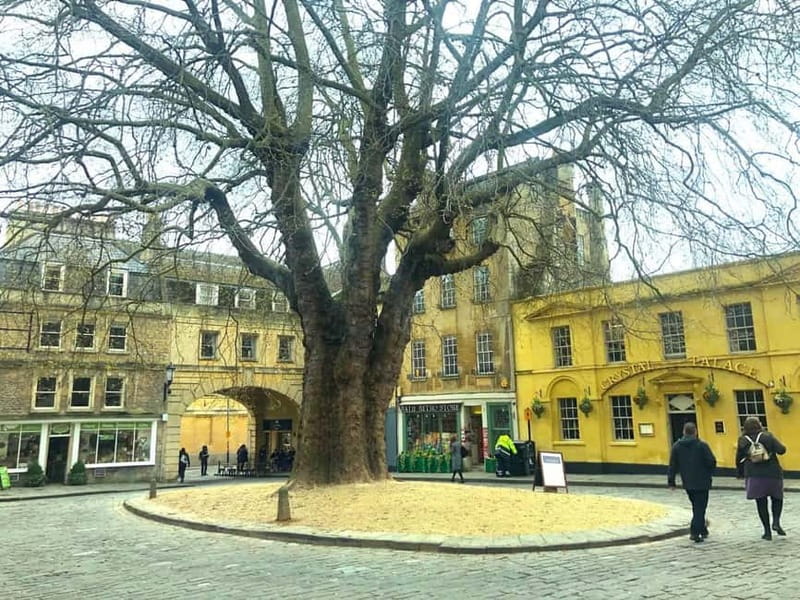 London: Stonehenge, Bath, Windsor, and Roman Baths Day Tour - Bath on Georgian Streets: A City You Can Actually Enjoy Between Sights