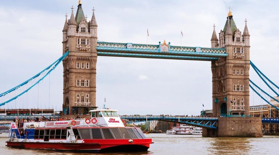London: Thames River Cruise and 3-Hour Westminster Tour - Who this tour fits best