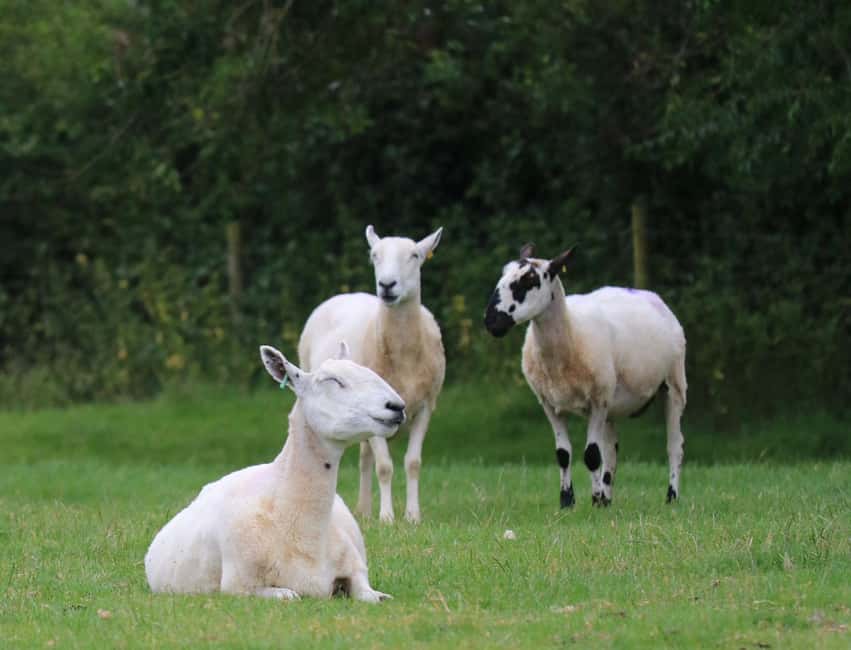 London: Top 7 Cotswolds Stops plus Shakespeare's Stratford - Snowshill: A Secluded Village Break That Feels Less Tour-Bus-y